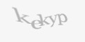 Защитный код