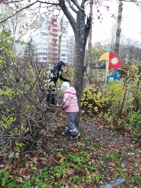 IMG-20191026-WA0002