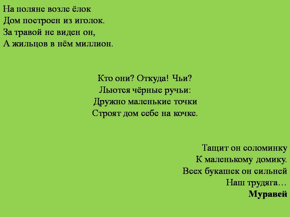 муравейник 1