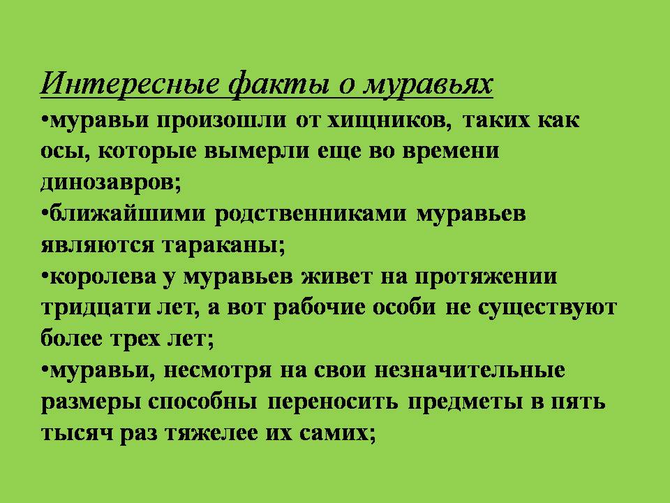 муравейник 2
