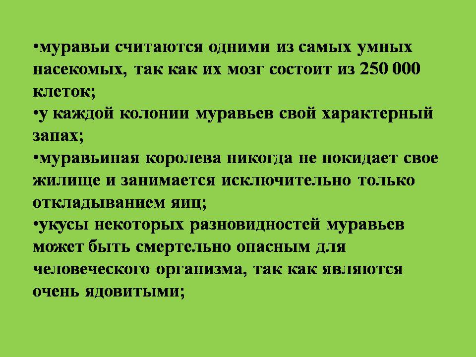 муравейник 3