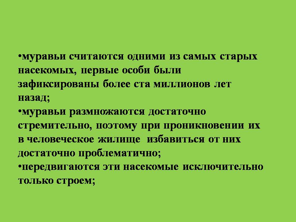 муравейник 4