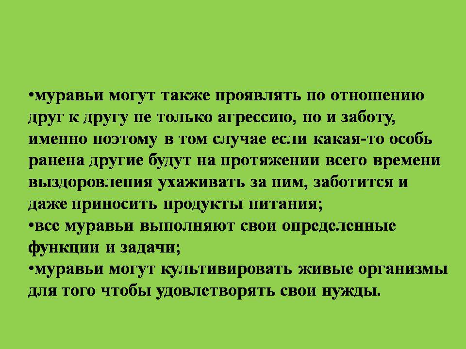 муравейник 5