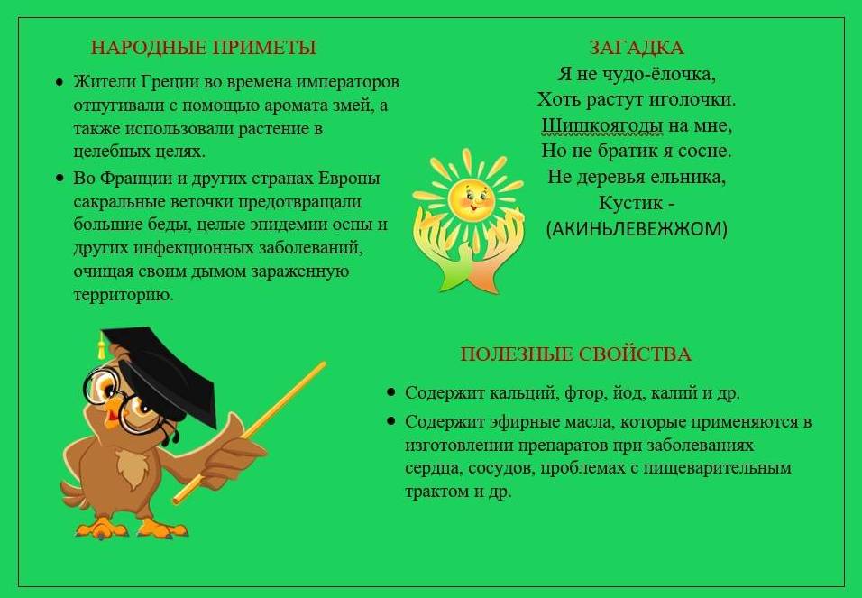 Можжевельник2