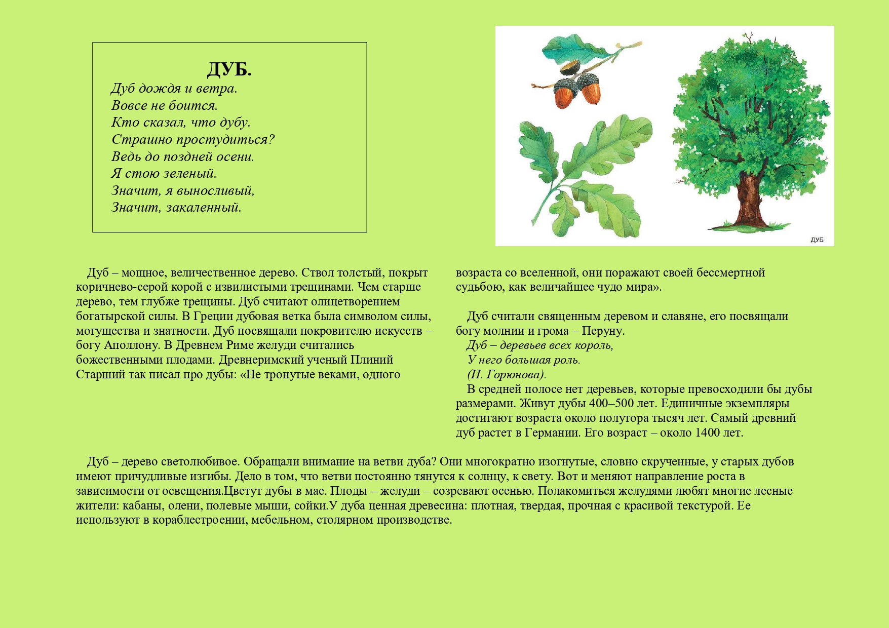 Описание дуба page-0001