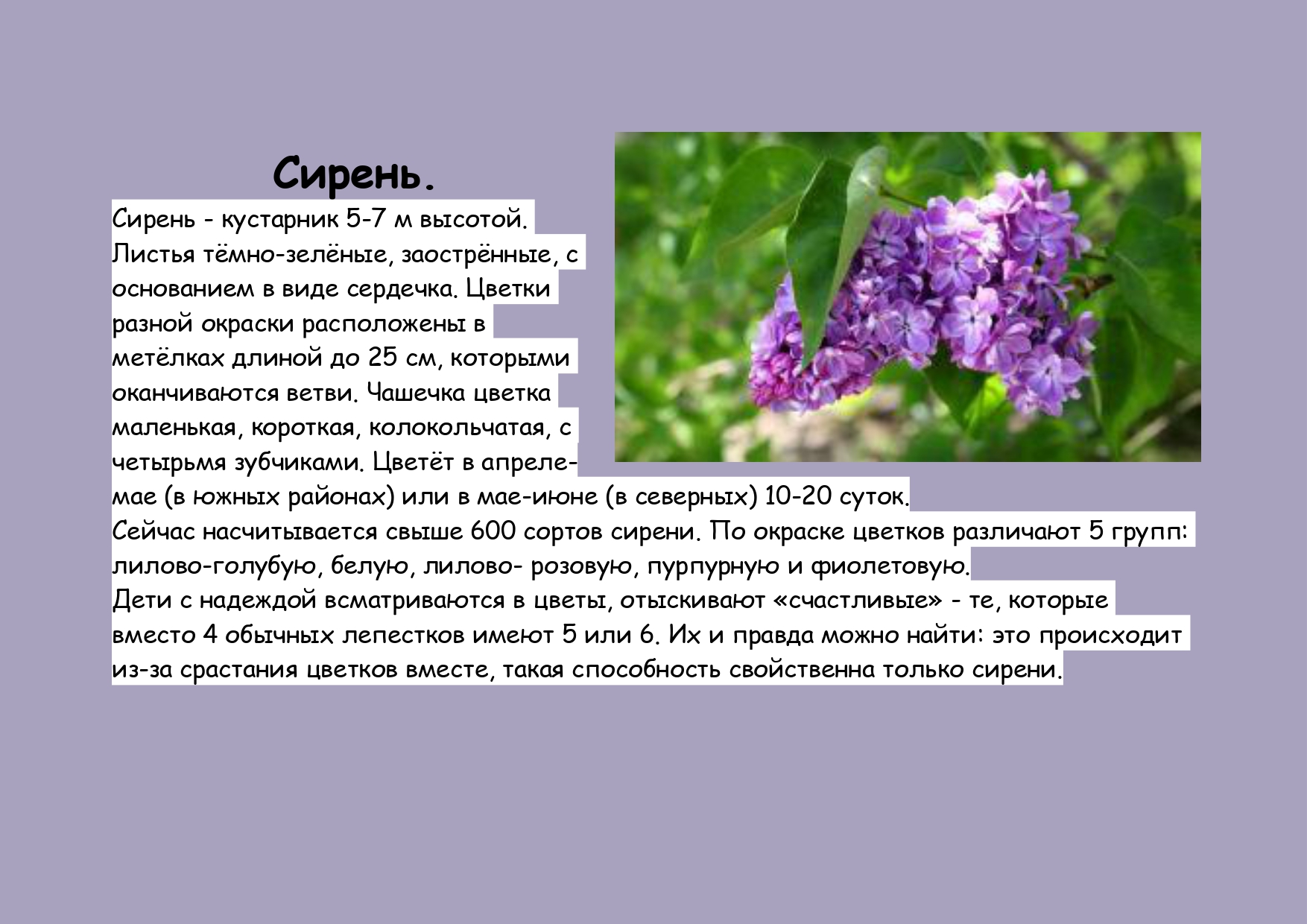Описание сирени page-0001