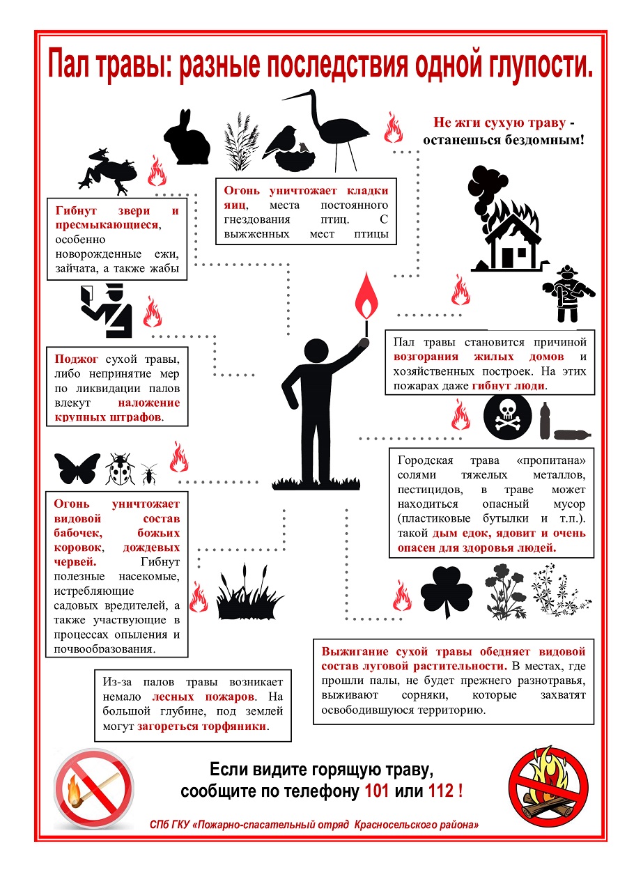 ПАМЯТКА-по-ПБ-пал-травы-март-2020