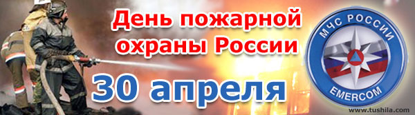 день пожарной 2