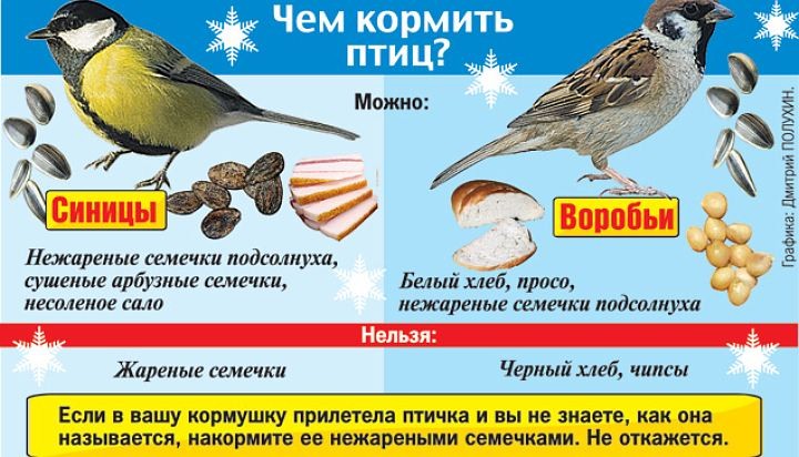 п